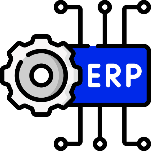 NG+ ERP